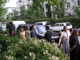 Aynur ile Fatih Dügünleri